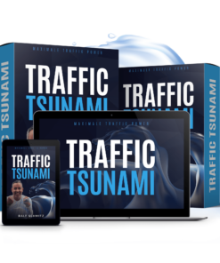 Traffic Tsunami Webinar kaufen